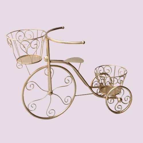 Cycle - Fancy