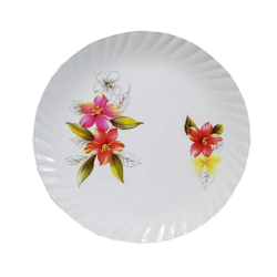 Printed Dinner Plates - 12 Inch - Made Of Regular Plastic Material