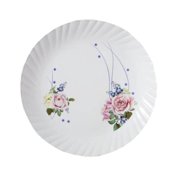 12 Inch - Dinner Plates - Made Of Food-Grade Regular Plastic Material - Round Shape - Printed Plate