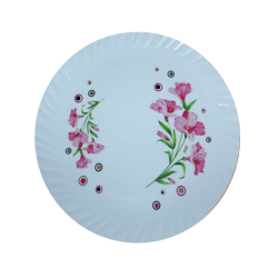 Printed Dinner Plates - 12 Inch - Made Of Plastic Material