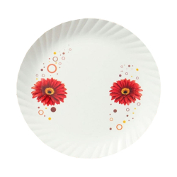 Printed Dinner Plates - 12 Inch - Made Of Regular Plastic Material