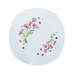 Printed Dinner Plates - 12 Inch - Made Of Plastic Material