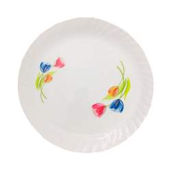 Printed Dinner Plates - 12 Inch - Made Of Plastic Material