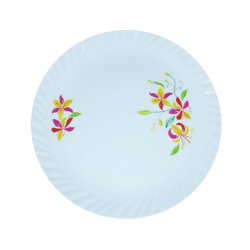 Printed Dinner Plates - 12 Inch - Made Of Plastic Material