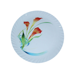12 Inches Dinner Plates - Made Of Food-Grade Virgin Plastic Material - Round Shape - White Printed Plate- 160 GM