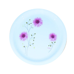 Printed Dinner Plates - 12 Inch - Made Of Plastic Material