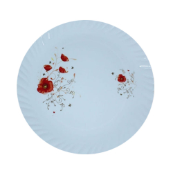 Printed Dinner Plates - 12 Inch - Made Of Plastic Material