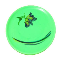 11 Inches Dinner Plates - Made Of Food-Grade Regular Plastic Material - Round Shape - Green Printed Plate