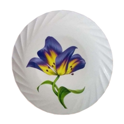 Printed Dinner Plates - 12 Inch - Made Of Regular Plastic Material