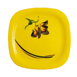 12 Inch Dinner Plates - Made Of Food-Grade Regular Plastic Material - Square Shape - Printed Plate