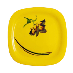 Printed Dinner Plates - 12 Inch - Made Of Regular Plastic Material