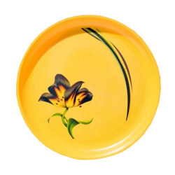 11 Inches Dinner Plates With Printed Design - Made Of Food Grade Regular Plastic - Printed Yellow Color