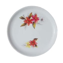 12 Inches - Dinner Plates - Made Of Food-Grade Regular Plastic Material - Round Shape -  White Printed Plate.