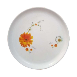 Printed Dinner Plates - 12 Inch - Made Of Regular Plastic Material