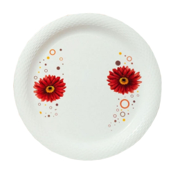 12 Inch Dinner Plates - Made Of Food-Grade Regular Plastic Material - Round Shape - Color White & Printed.