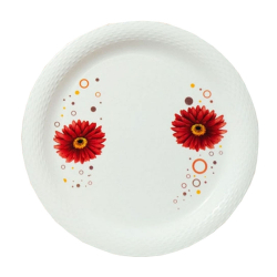 Printed Dinner Plates - 12 Inch - Made Of Regular Plastic Material