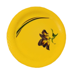 Printed Dinner Plates - 12 Inch - Made Of Regular Plastic Material