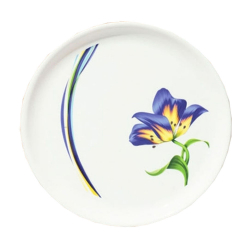 11 Inch Dinner Plates - Made Of Food-Grade Regular Plastic Material - Round Shape - Printed Plate