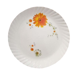 Printed Dinner Plates - 12 Inch - Made Of Regular Plastic Material