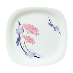 Printed Dinner Plates - 11.50 Inch - Made Of Regular Plastic Material