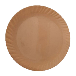 13 Inch - Round Dinner Plates - Made Of Food-Grade Virgin Plastic Material - Round Shape - Lvory Color