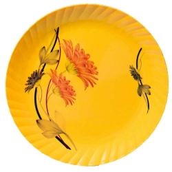 Printed Dinner Plates - Made Of Regular Plastic Material