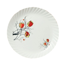 11 Inch Dinner Plates - Made Of Food-Grade regular  Plastic Material - Leher Round Shape - Printed Plate.