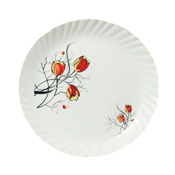 Printed Dinner Plates - Made Of Regular Plastic Material