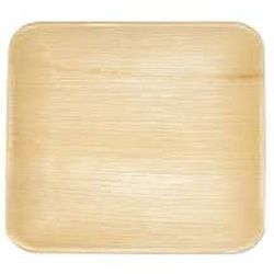 10 Inch - Square Plate - Disposable Dinner Plate - Areca Leaf Square Plates.