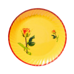 12 Inch Dinner Plates - Made Of Food-Grade Regular Plastic Material - Leher Round Shape - Printed Plate
