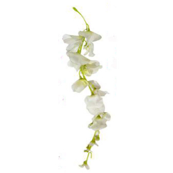 Height - 18 Inch - Artificial Hanging - Latkan - Flower Decoration - Artificial - AF 177 - White Color