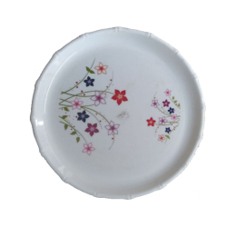Printed Dinner Plates -13 Inch -  Made Of Food Grade Virgin Plastic Unbreakable - White Color
