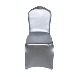 Chair Cover - Made of Brite Lycra - Silver Color