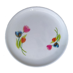 Printed Dinner Plates - 13 Inch - Made Of Plastic