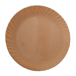 Round Dinner Plate - 13 Inch - Made Of  Plastic