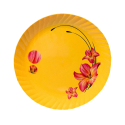 Printed Dinner Plates - Made Of Regular Plastic Material