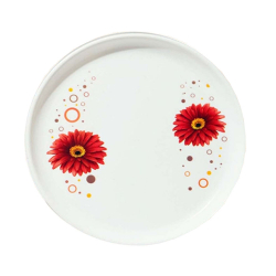11.50 Inch Second Quality - Dinner Plates - Made Of Food-Grade Regular Plastic Material - Round Shape - Printed Plate