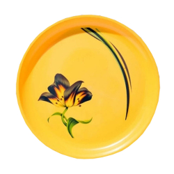 Printed Dinner Plates - 11 Inch - Made Of Regular Plastic Material