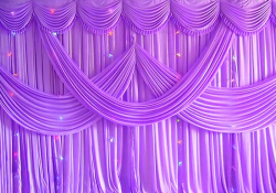 10 FT X 20 Tt - Designer Curtain - Double Astar - Purple Color