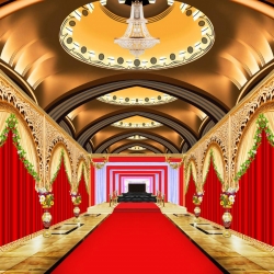 3D Print Mandap Parda -10 FT X 15 FT - Made of 14 KG Taiwan Cloth