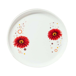 Printed Dinner Plates - Made Of Regular Plastic Material