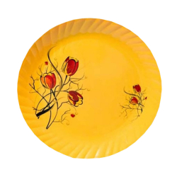 Printed Dinner Plates - Made Of Regular Plastic Material