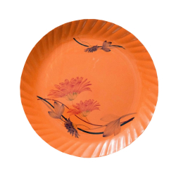 Printed Dinner Plates - Made Of Regular Plastic Material