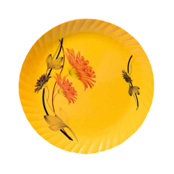 Printed Dinner Plates - 12 Inch - Made Of Regular Plastic Material