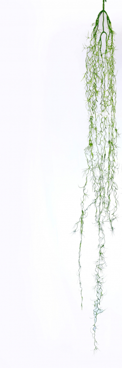 35 Inch  Artificial Grass  Wall Hanging - Grass Decoration