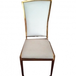 Banquet Chair - Made Of MS Body With Powder Coated