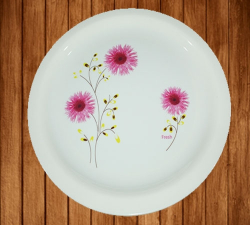 Bonchina Dinner Plates - 12 Inch - Made Of Plastic