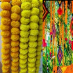Flower Line Wall Hanging - 30 Inch - Multi Color