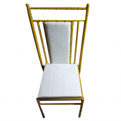 Banquet Chair - Made Of MS Body With Powder Coated