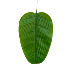 Artificial Color Victoriya Leaf - Leaves - Artificial Leaf -  Light Green Color